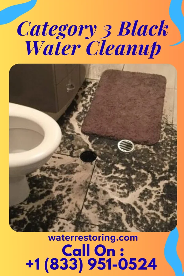 Category 3 Black Water Cleanup in Rossmoor, CA