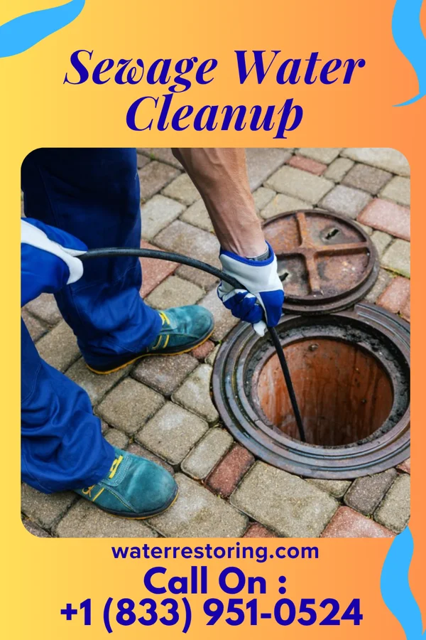 Sewage Water Cleanup in Rossmoor, CA